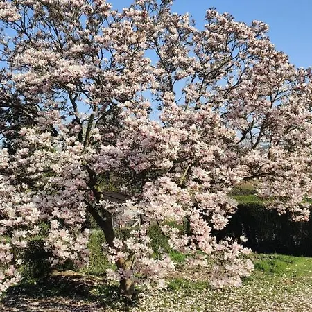 Ramser Casa de hóspedes Lindhorst