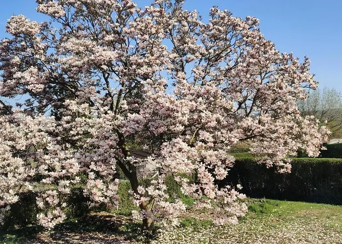 Ramser Affittacamere Lindhorst